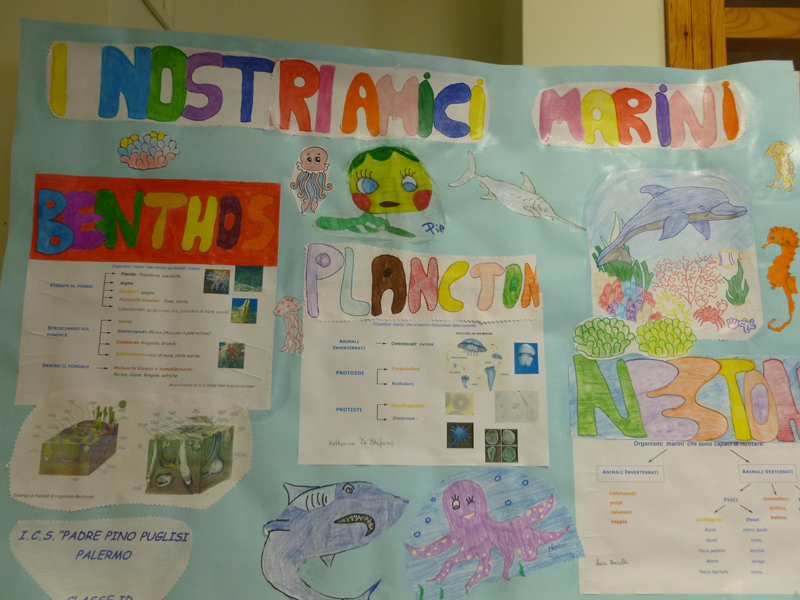 cartellone-1D_2