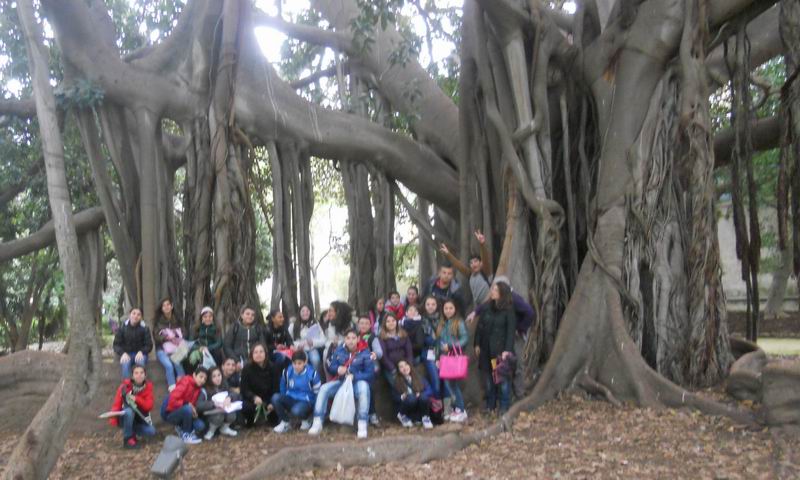 20-tutti-sotto-il-grande-ficus