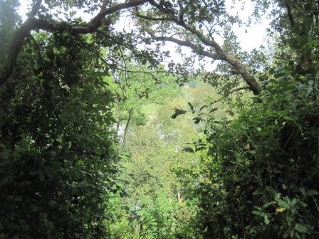 1-oasi-wwf-angitola