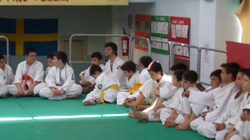 10-judo