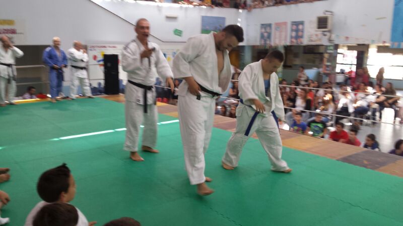 11-judo