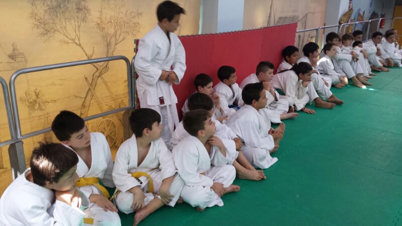 12-judo