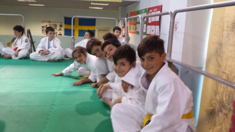 7-judo