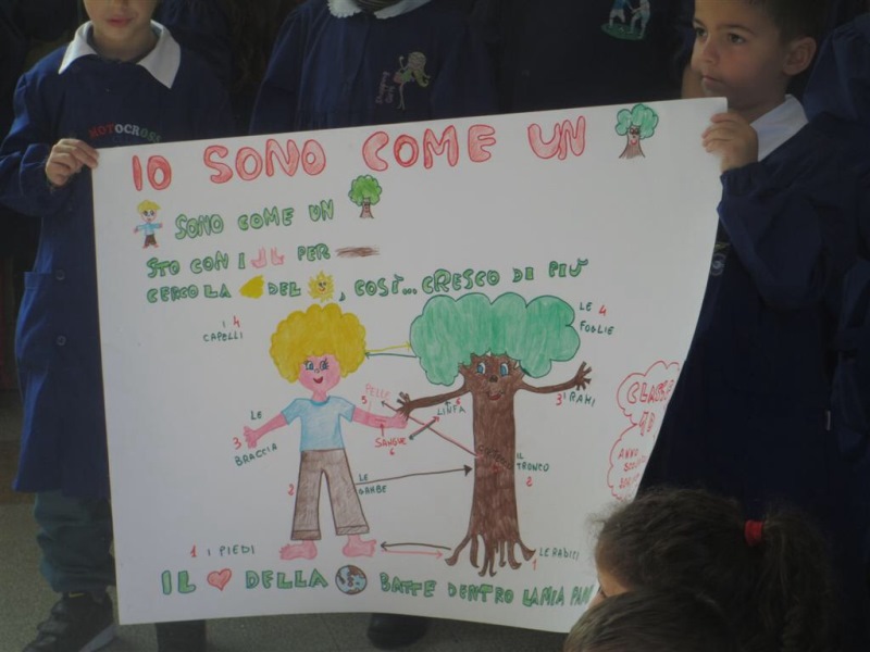 15-corrao-poster-io-sono-come-un-albero