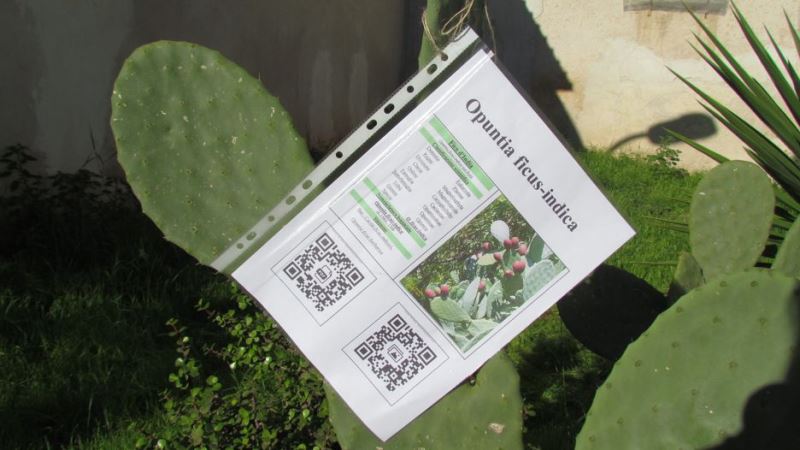 19-esempio-scheda-botanica-con-codice-QR-abbinato
