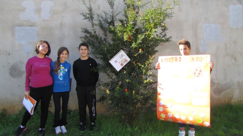 22-gli-alunni-della-1D-adottano-la-Punica-granatum-melograno