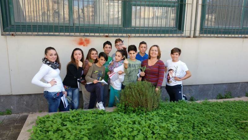 36-in-giro-fra-piante-ornamentali-e-aromatiche-del-nostro-giardino