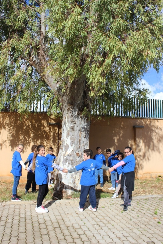 6-bixio-4A