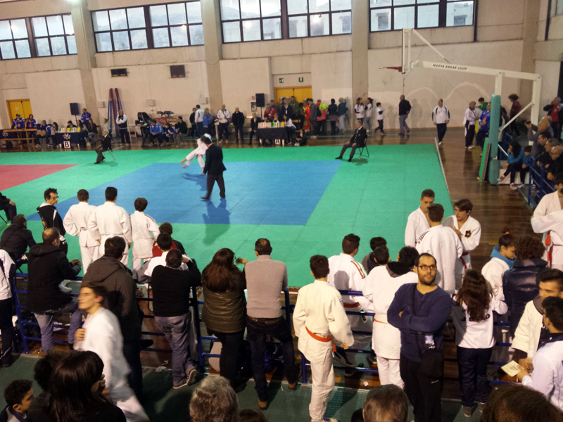 11-judo