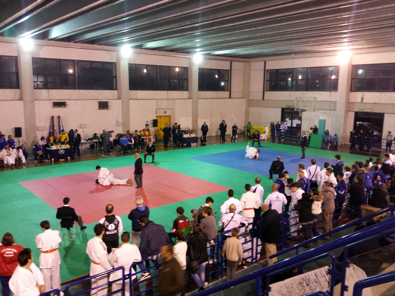 13-judo