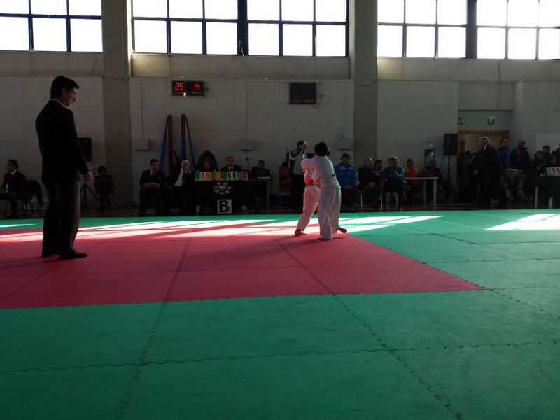 2-judo