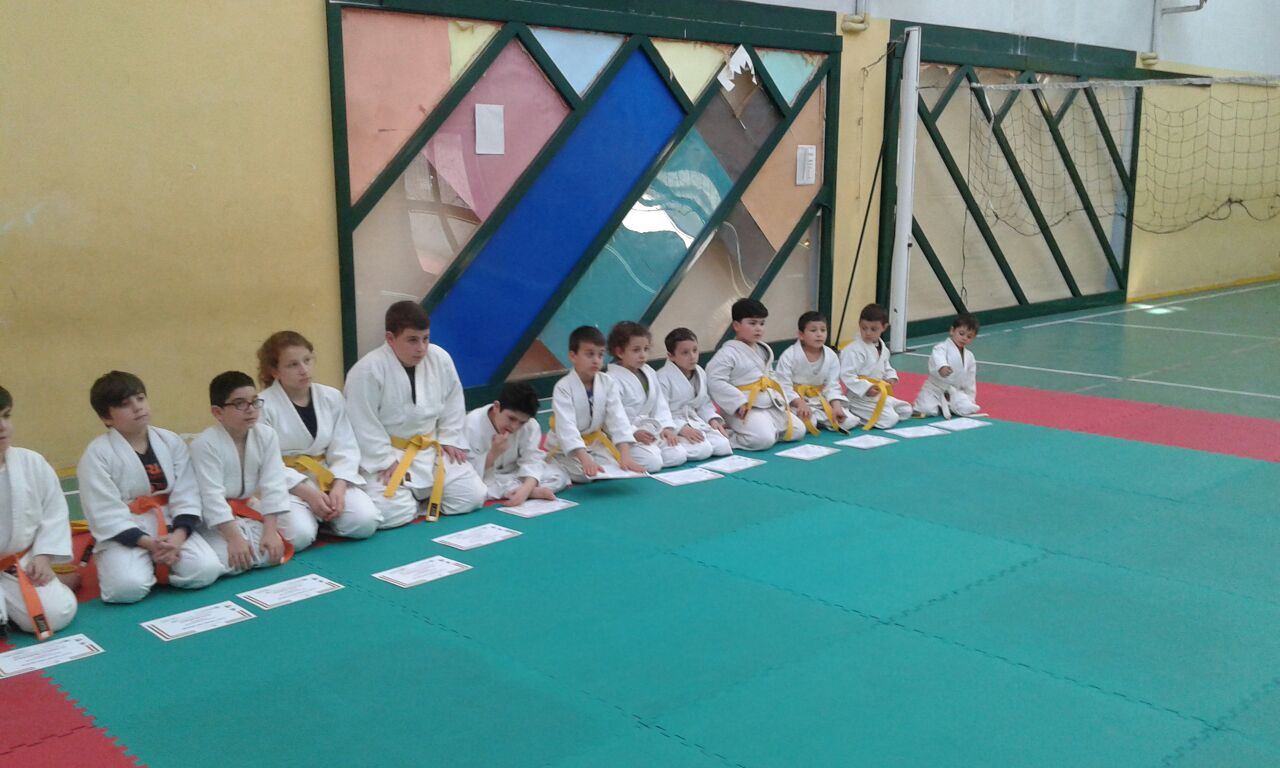3-judo