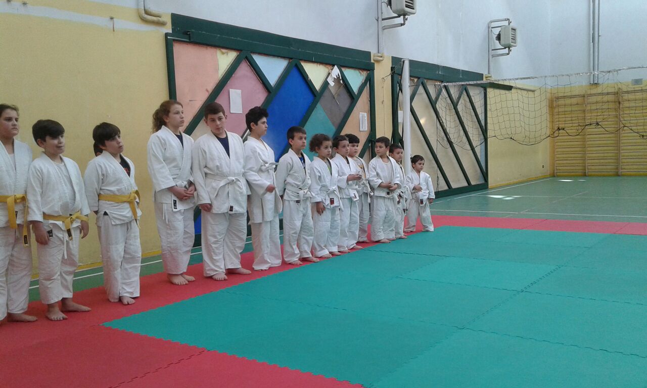 5-judo