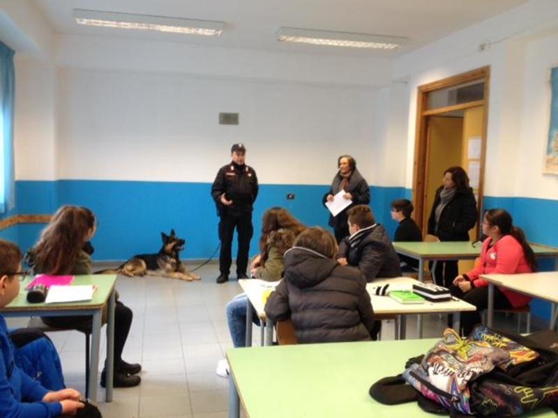 7-I_cinofili