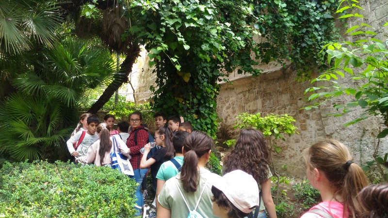 10_Nel_giardino_di_San_Giovanni_degli_Eremiti_