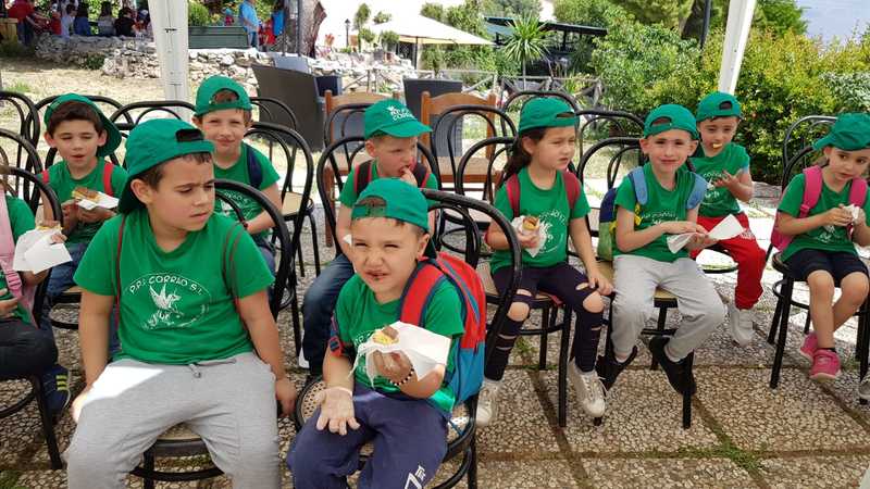 2018-05-28_fattoria_il_tancre_2