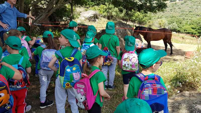 2018-05-28_fattoria_il_tancre_5