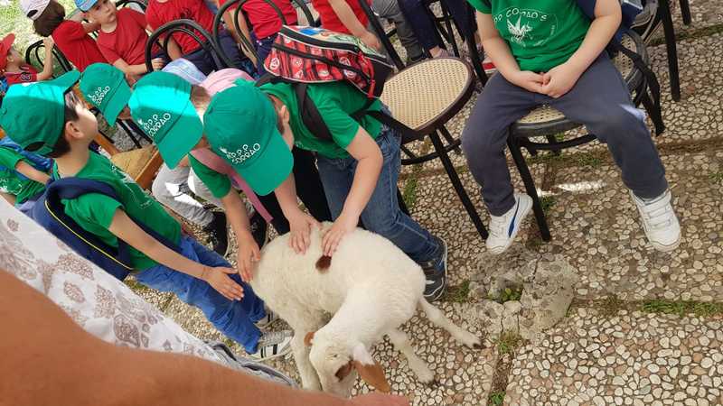2018-05-28_fattoria_il_tancre_8