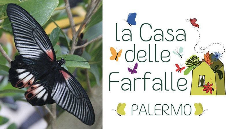 La casa delle Farfalle. Scuola dell’infanzia e primaria a Palazzo Riso