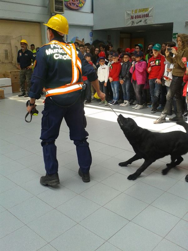 43-protezionecivile