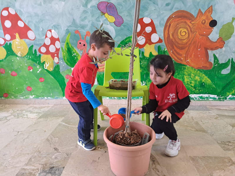 9-festa-albero-prim-inf