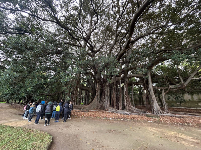 uscita-orto-botanico-6