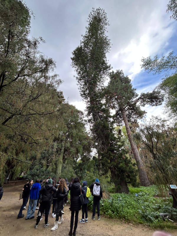 uscita-orto-botanico-7