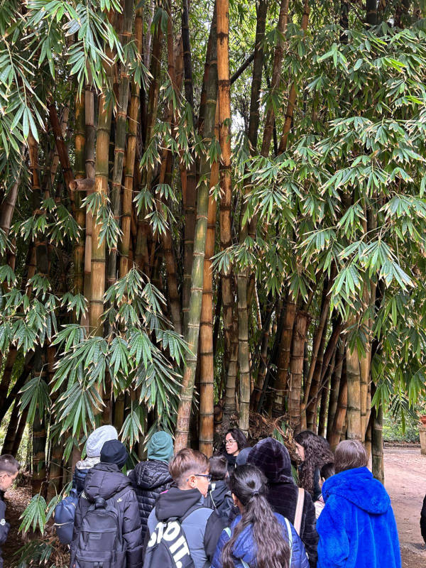 uscita-orto-botanico-8