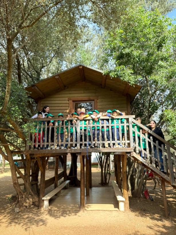 bosco-di-tommy-1