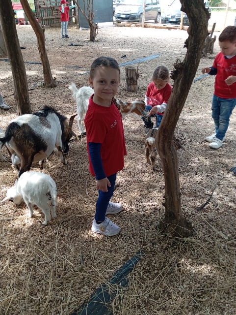 bosco-di-tommy-10