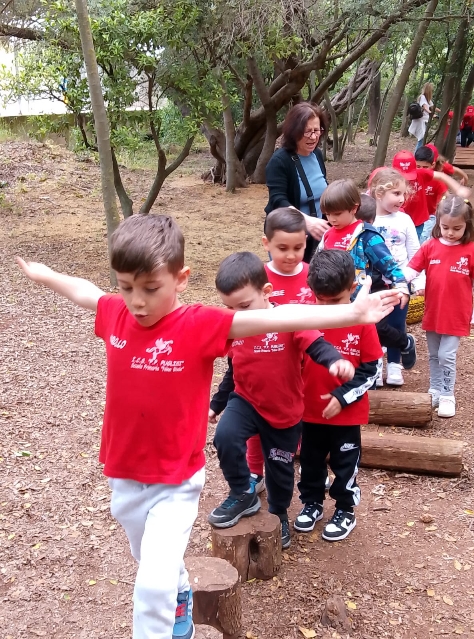 bosco-di-tommy-15