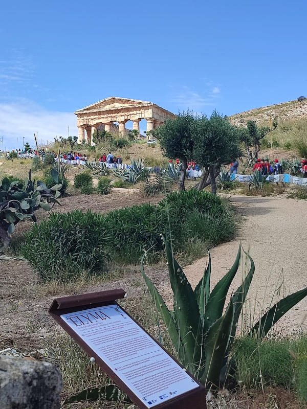 gita-segesta-17