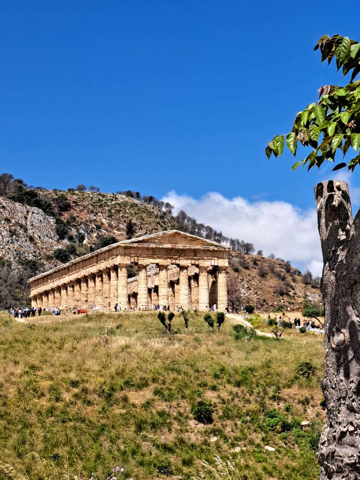 gita-segesta-9