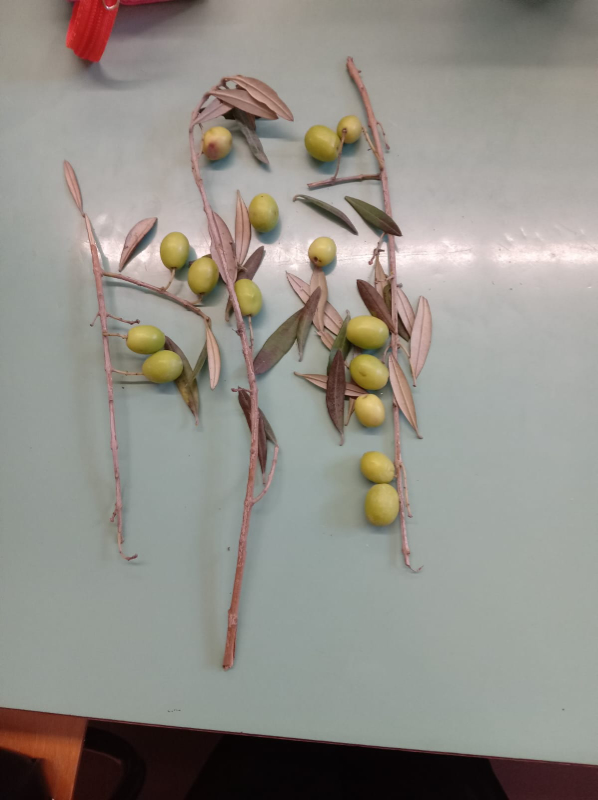 CLASSE-2F-ORESTANO-