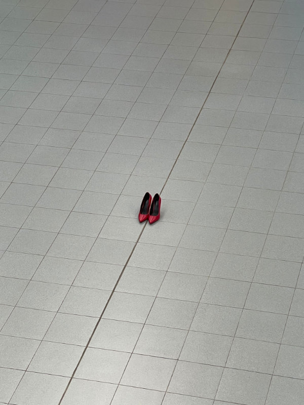 installazione-nell-atrio-della-scuola